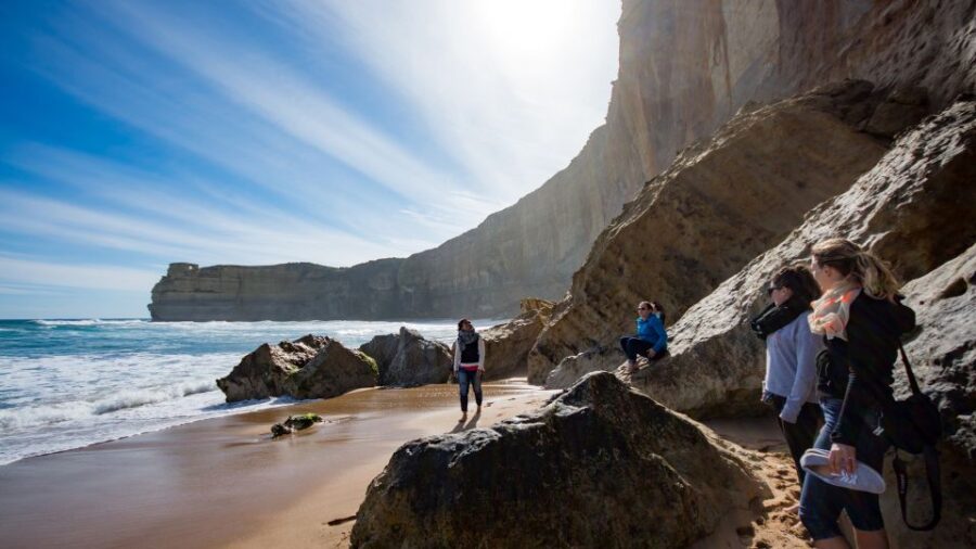From Melbourne: Great Ocean Road & Rainforest Full-Day Trip - Trip Details and Pricing