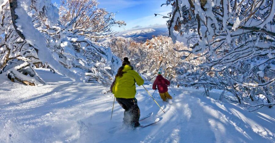 From Melbourne: Mount Buller Village and Resort Day Trip