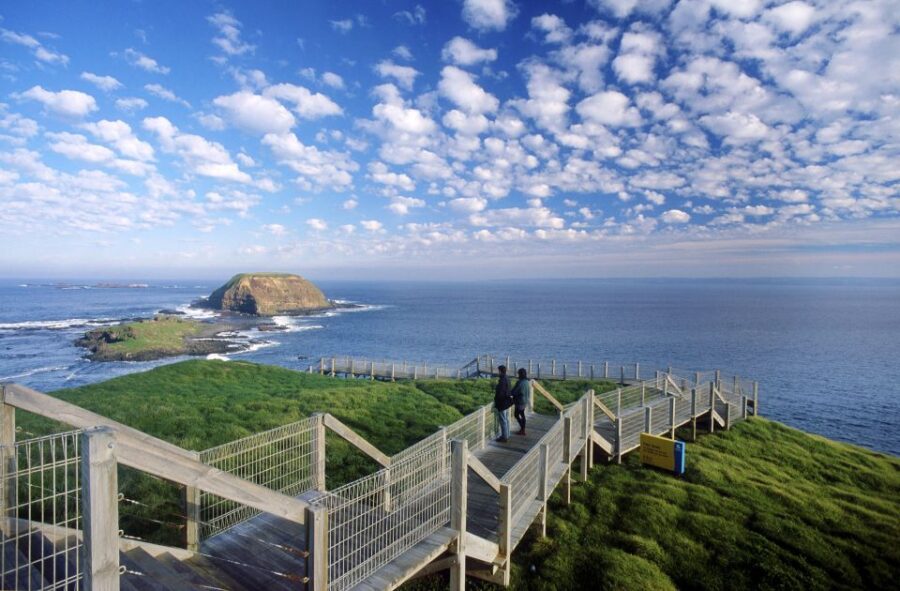 From Melbourne: Phillip Island Penguin Parade Eco Tour
