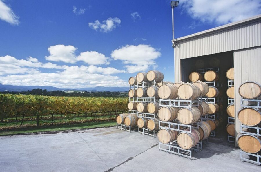 From Melbourne: Private Yarra Valley Winery Tour With Lunch