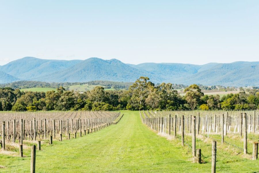 From Melbourne: Yarra Valley Wine, Gin, Chocolate Day Trip - Tour Overview