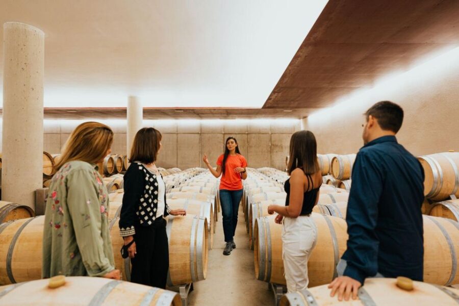 From Milan: Barolo Private Wine Tour With a Private Driver - Tour Overview and Pricing