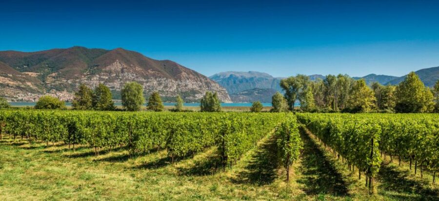 From Milan: Full Day in Franciacorta. 2 Wineries & Lunch - Overview of the Experience
