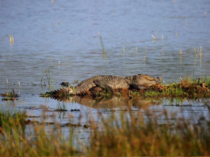 3 Best National Park Tours In Lunugamvehera National Park