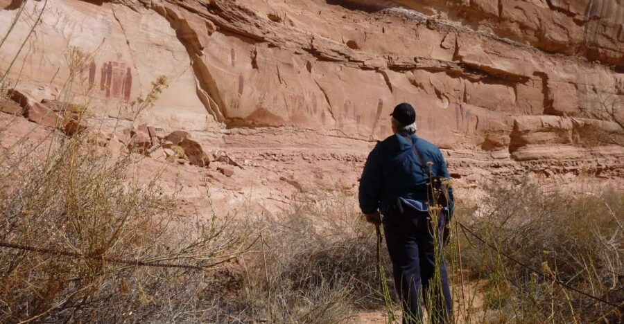 From Moab: 1-Day Horseshoe Canyon Exploration - Tour Overview and Details
