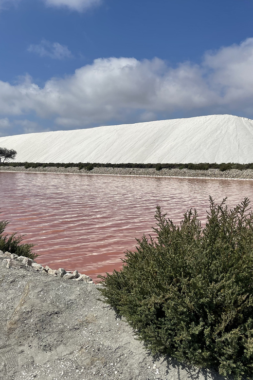 From Montpellier: Camargue and Salt Marshes Guided Tour