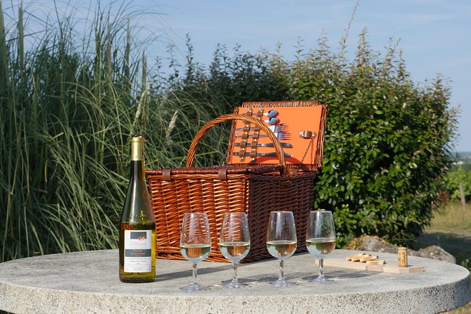 From Nantes – Vineyard of Nantes in Minivan – Half Day