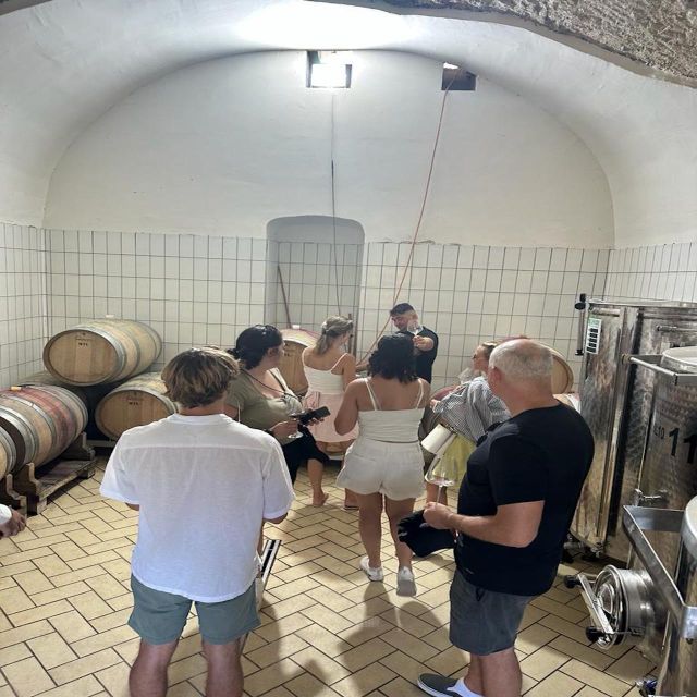 From Napoli: Private Luxury Tour Pompei ,Winery - Tour Overview