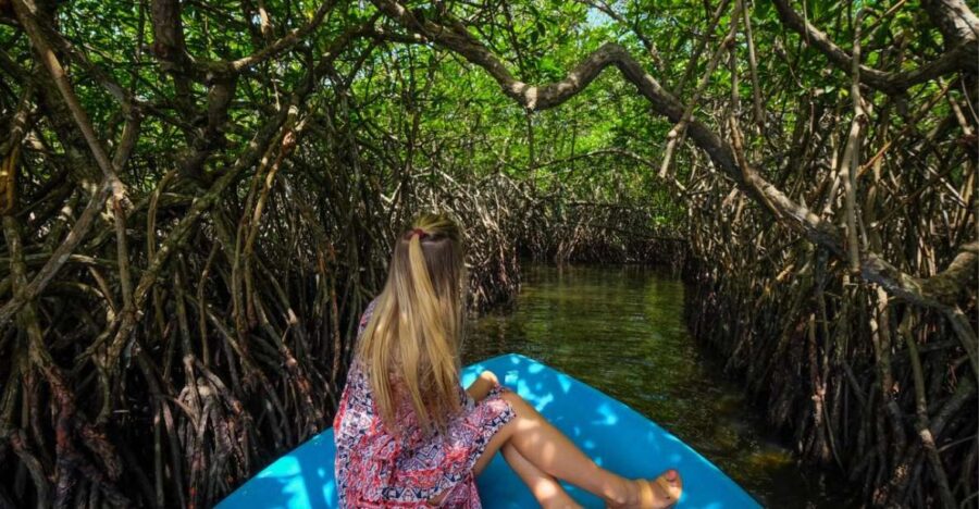 From Negombo: Madu River Safari & Turtle Hatchery Visit - Tour Overview