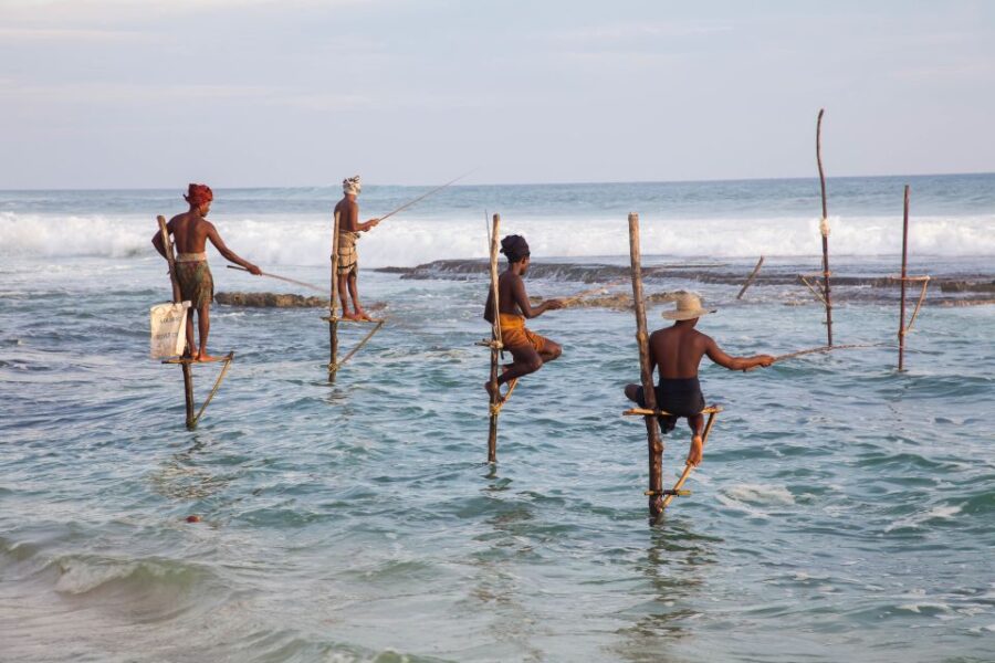 From Negombo: Southern Coast Highlights Private Day Tour