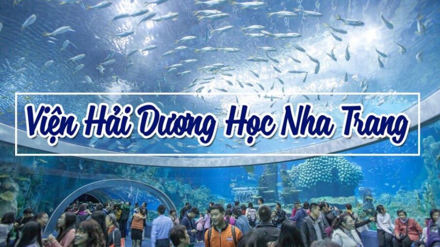From Nha Trang: Top Sights Must-Visit City Tour