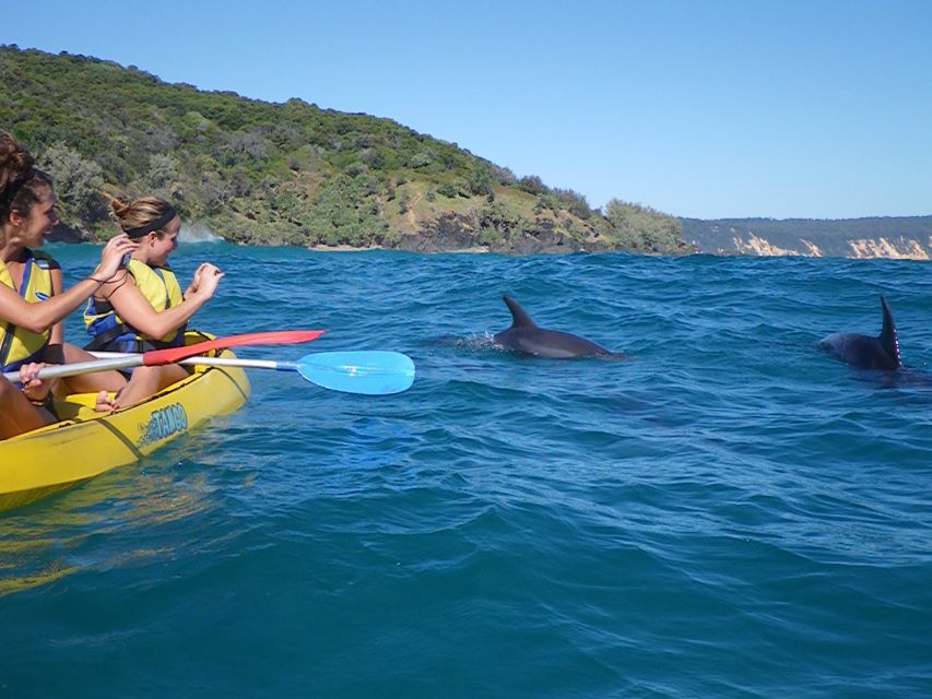 From Noosa: Dolphin Sea Kayaking and Beach 4X4 Tour