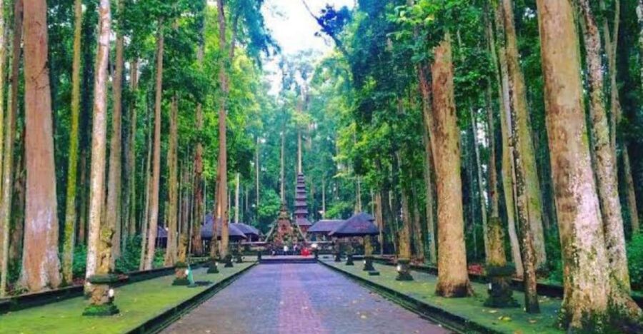 From North Bali: Tanah Lot, Sangeh Forest & Ulun Danu Temple