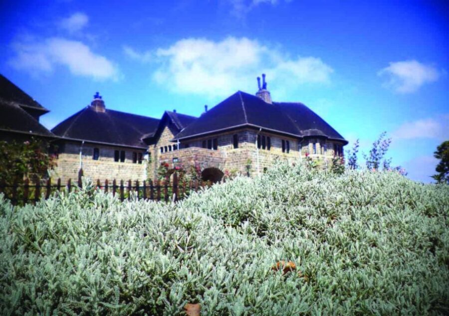 From Nuwara Eliya: Haputale Highlands Private Day Tour