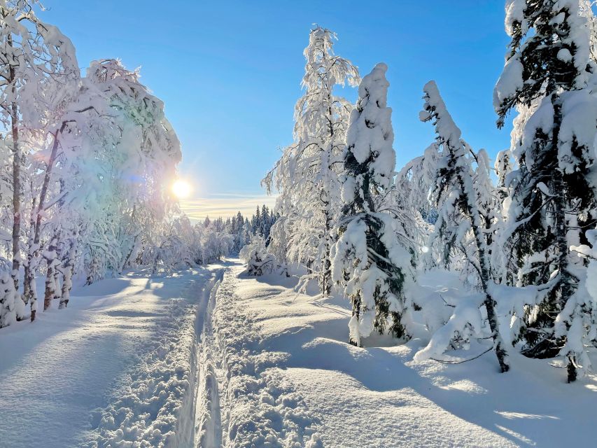 From Oslo: Oslomarka Forest Guided Snowshoeing Tour