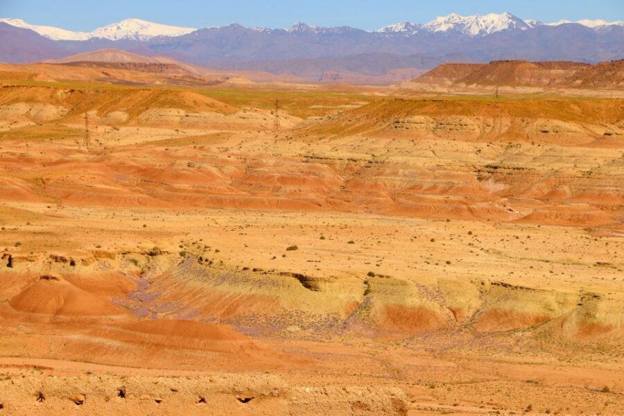 From Ouarzazate: Private Day Trip to Zagora With Camel Ride