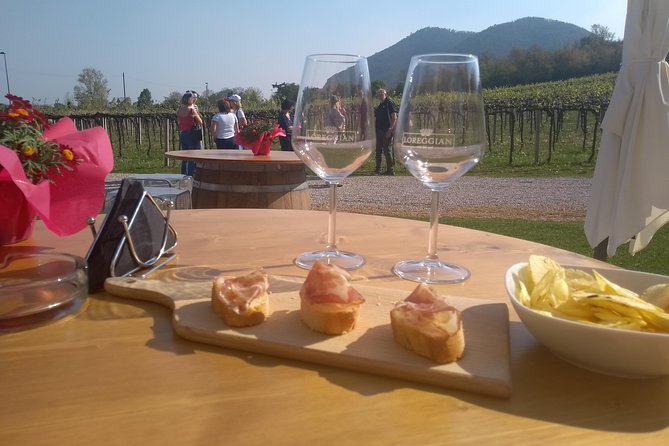 From Padua: Olive Oil & Wine in the Euganean Hills