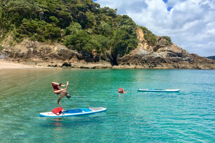 From Paihia: Scenic Cruise With Roberton Island Stopover