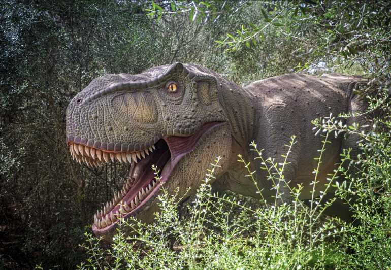 From Palma De Mallorca: Dinosaurland Tour
