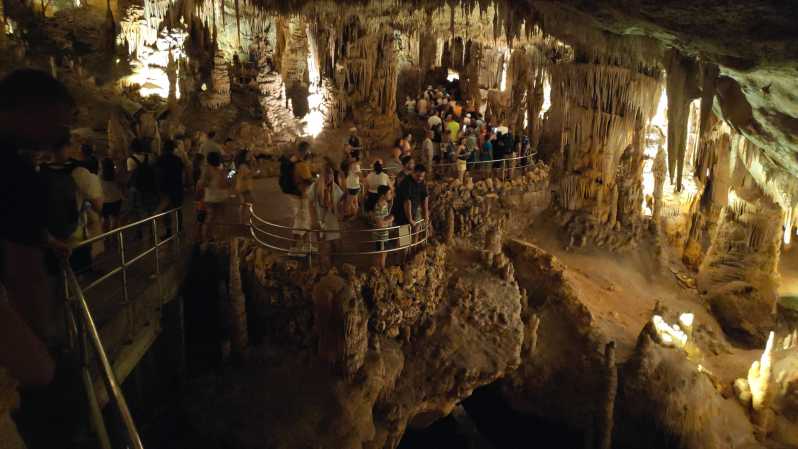From Palma: Full Day Mallorca Tour With a Professional Guide