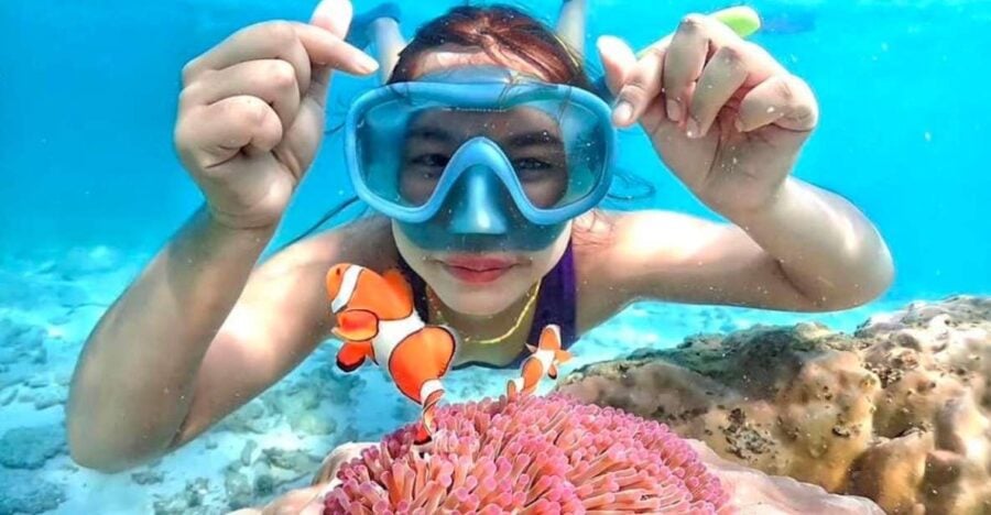 From Pattaya: Private Speedboat to Nemo Island With Snorkel