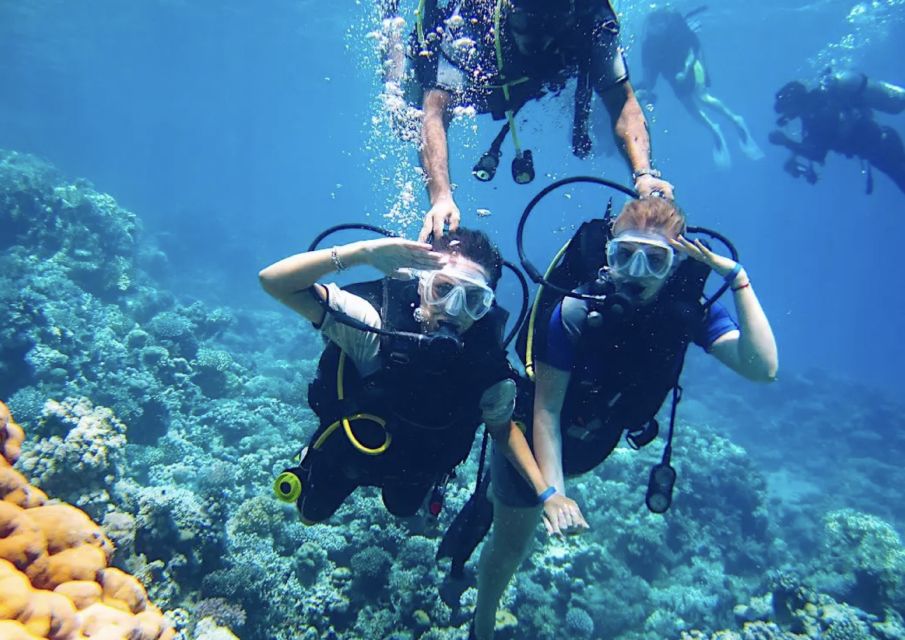 5 Sensational Scuba Diving Experiences In Pattaya