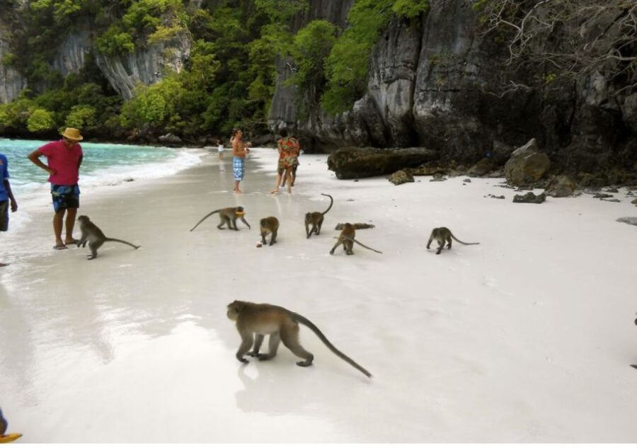 From Phi Phi: Beat the Crowds Island Hopping Tour - Tour Overview