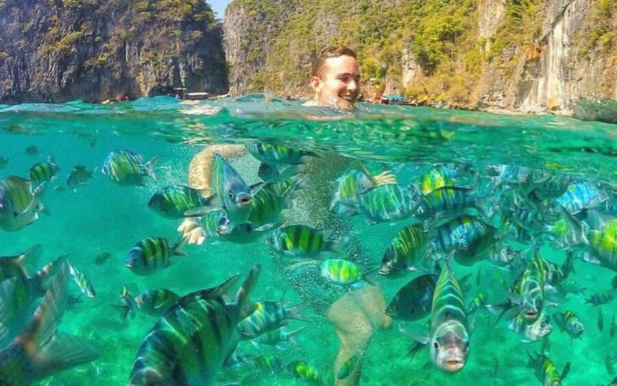 From Phi Phi: Maya Bay Private Long Tail Boat Tour