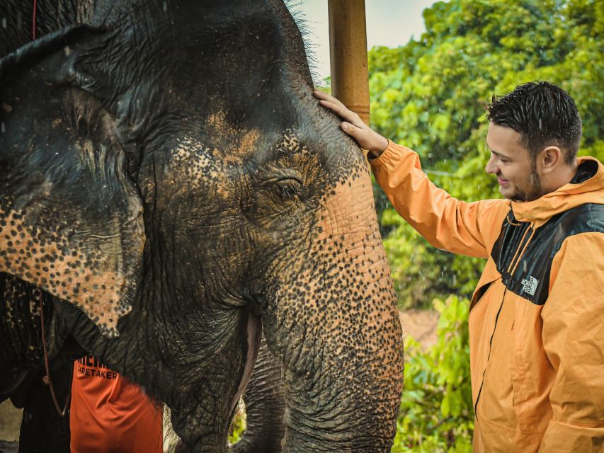 From Phuket: Elephant Jungle Sanctuary Feed and Shower Trip - Overview of the Experience
