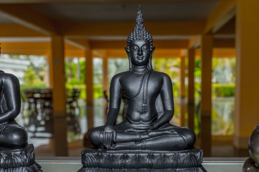 From Phuket: Elephant & Sea Turtle Conservation Private Tour - Tour Overview and Pricing