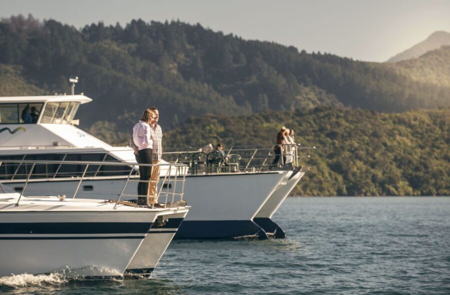 From Picton: Marlborough Sounds Cruise With Seafood - Departure and Duration