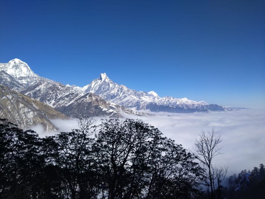 From Pokhara: 5 Nights 6 Days Khopra, Poon Hill and Morey - Trip Overview and Pricing