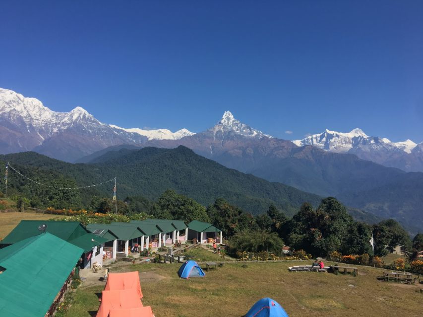 From Pokhara: 6 Days Annapurna Base Camp Private Trekking - Overview of the Trek