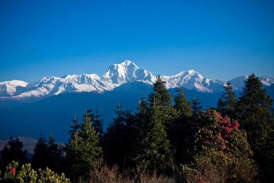 From Pokhara: Beautiful 2-Day Poon Hill Private Trek