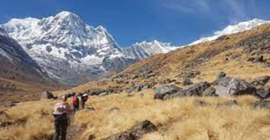 From Pokhara : Budget 6 Night 7 Day Annapurna Basecamp Trek - Overview and Pricing