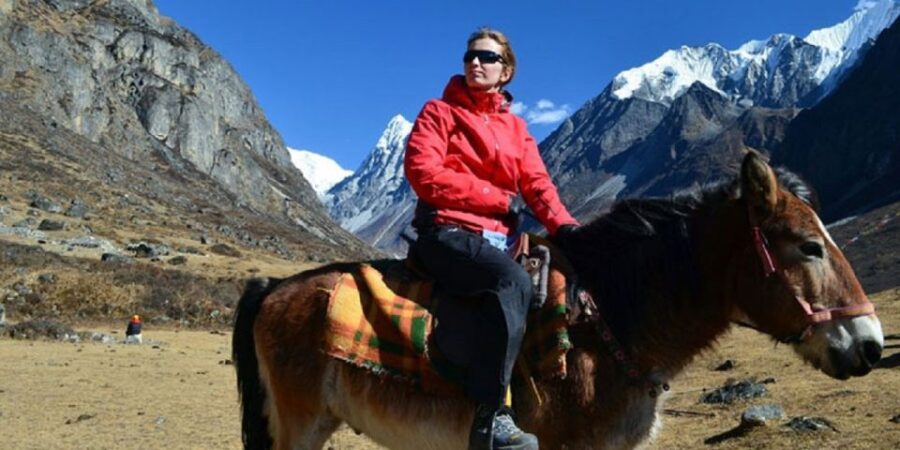 From Pokhara: Unforgettable Horseback Riding Adventure - Activity Overview
