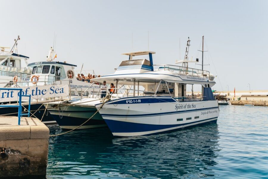 From Puerto Rico De Gran Canaria: Dolphin Watching Cruise - Tour Overview