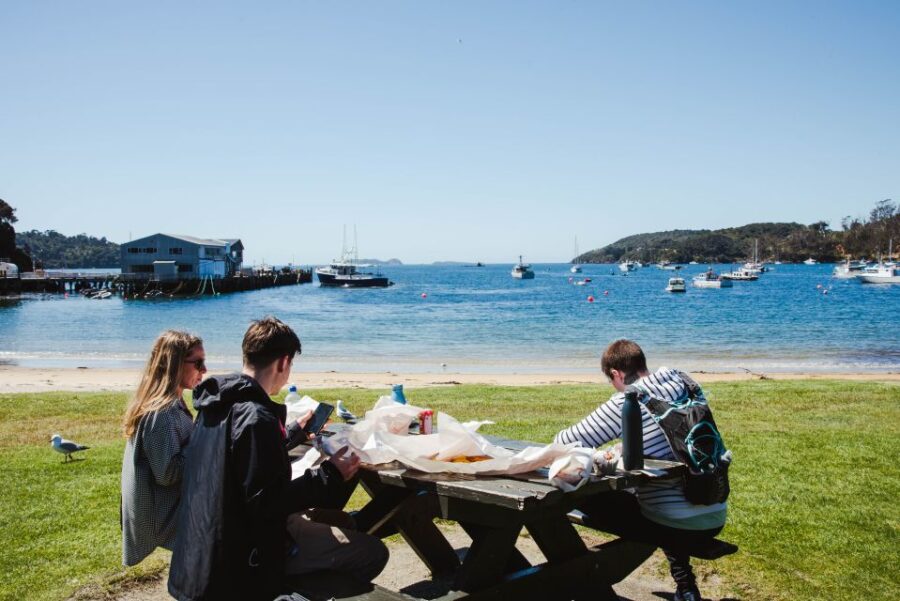 From Queenstown: Day Trip to Stewart Island by Plane - Trip Overview and Pricing