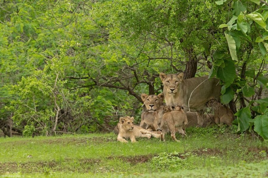 2 Best Tours In Rajkot
