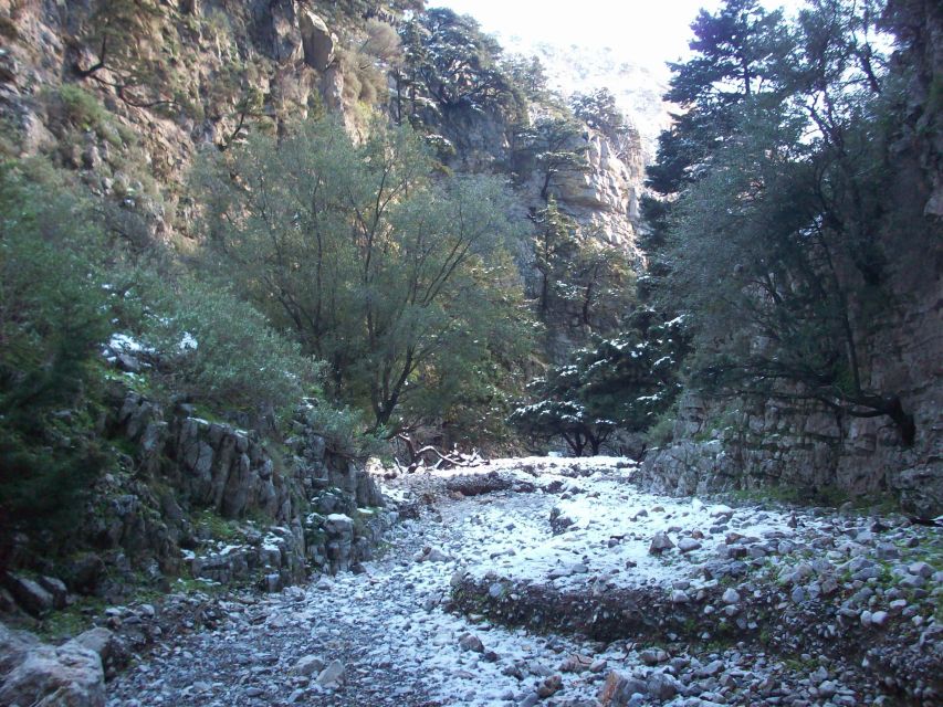 From Rethymno: Imbros Gorge & Libyan Guided Sea Tour