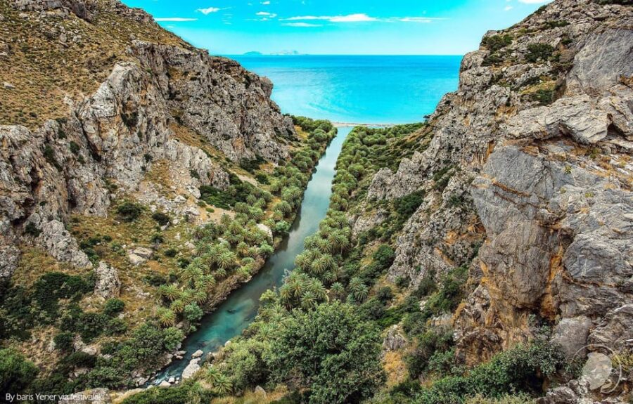 From Rethymno: Preveli Palm Forest, Damnoni and Plakias Tour