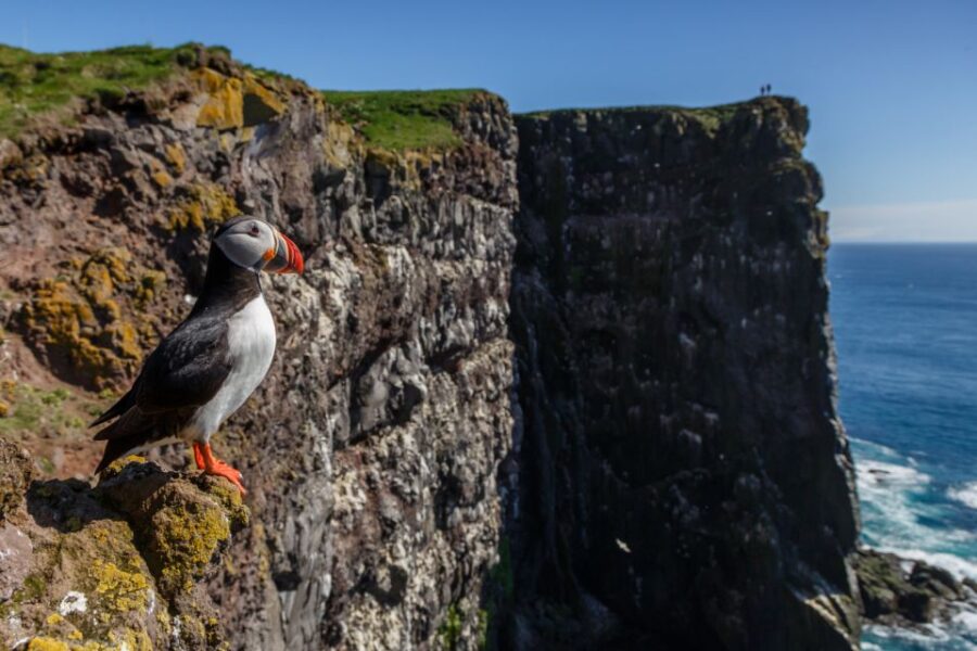 From Reykjavík: 3-Day Tour of the Wild Westfjords