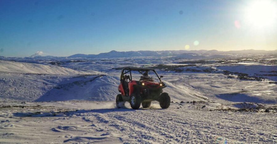 From Reykjavik: Buggy & Whale Watching Adventure