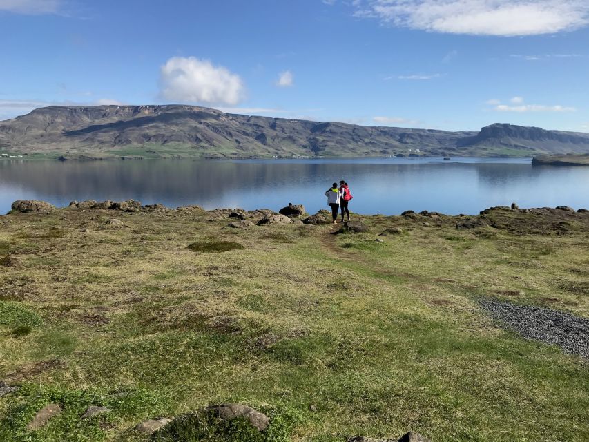 From Reykjavik: Glymur Waterfall Hike & Hvalfjörður Fjord