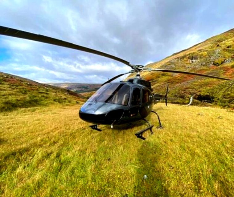 From Reykjavik: Helicopter Tour to Hengill With Landing