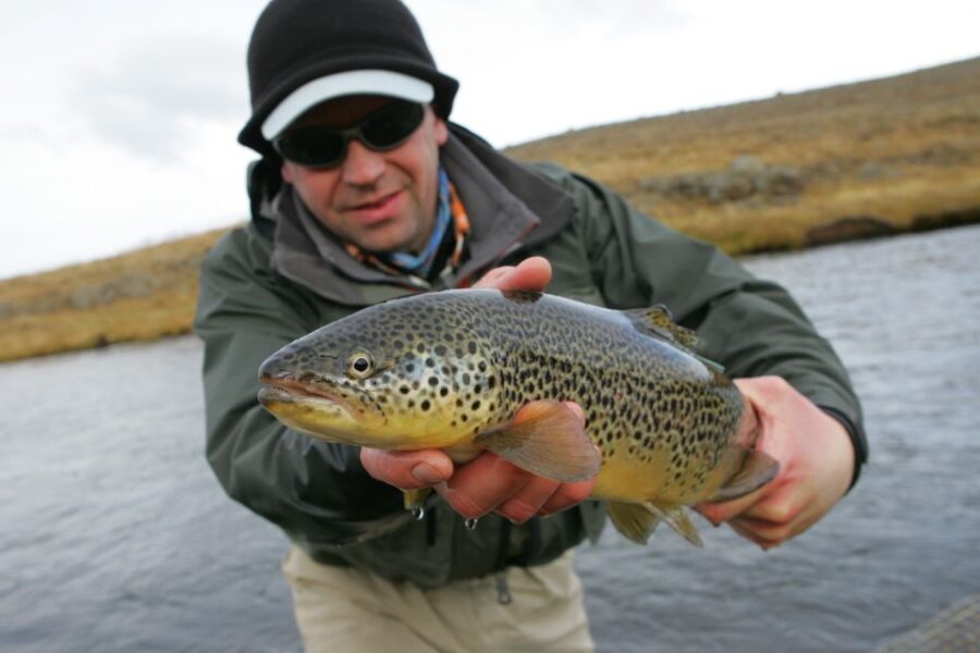 From Reykjavik: Lake and River Fishing Tour - Tour Overview and Pricing