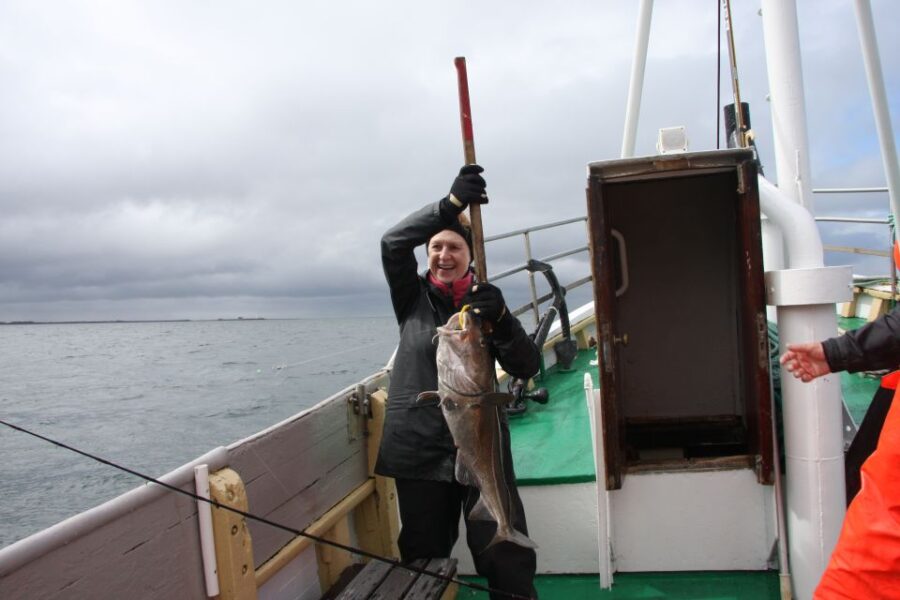 From Reykjavik: Sea Fishing Gourmet Tour - Activity Overview