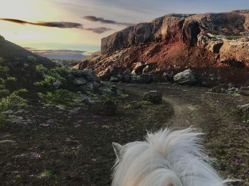 From Reykjavik: Small-Group Horse Riding Tour With Pickup