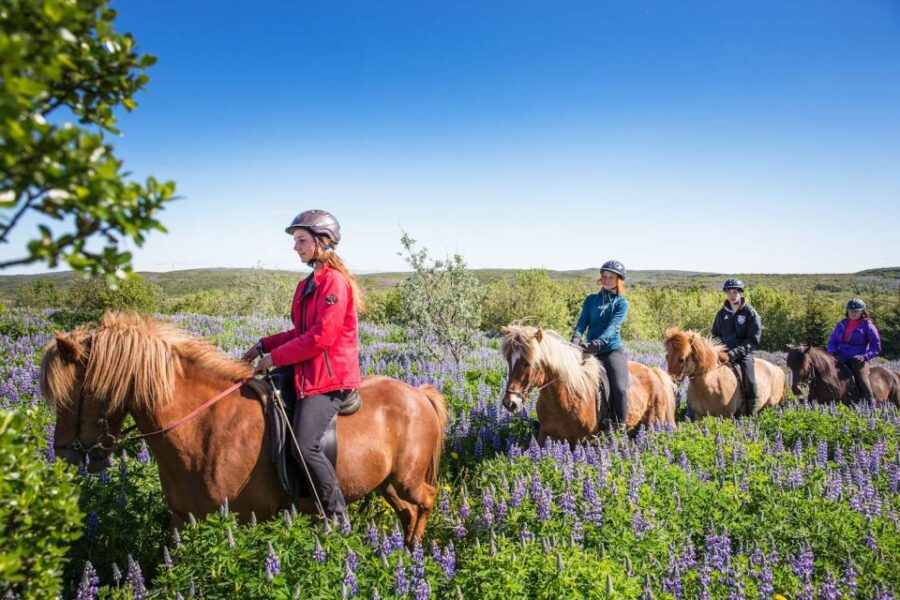 From Reykjavik: Viking Horseback Tour in Hafnarfjordur
