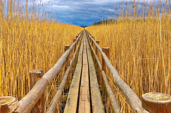 From Riga: Best of Kemeri National Park In One Day - Tour Overview